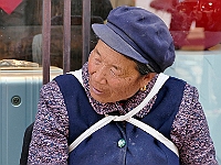 2018 010 Shuhe-098
