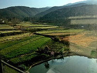 IMG 7757