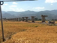 IMG 7999