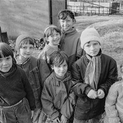 CopsaM-H_95-004_54-DeNoiseAI