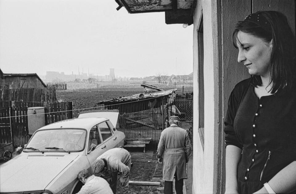 CopsaM-L 95-010 73-DeNoiseAI