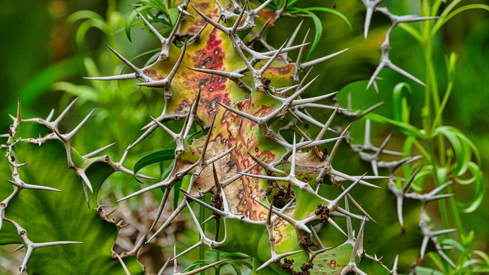 P2280368